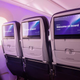 Imagen para el artículo titulado Los aviones de Air New Zealand tendrán las primeras literas de clase económica del mundo